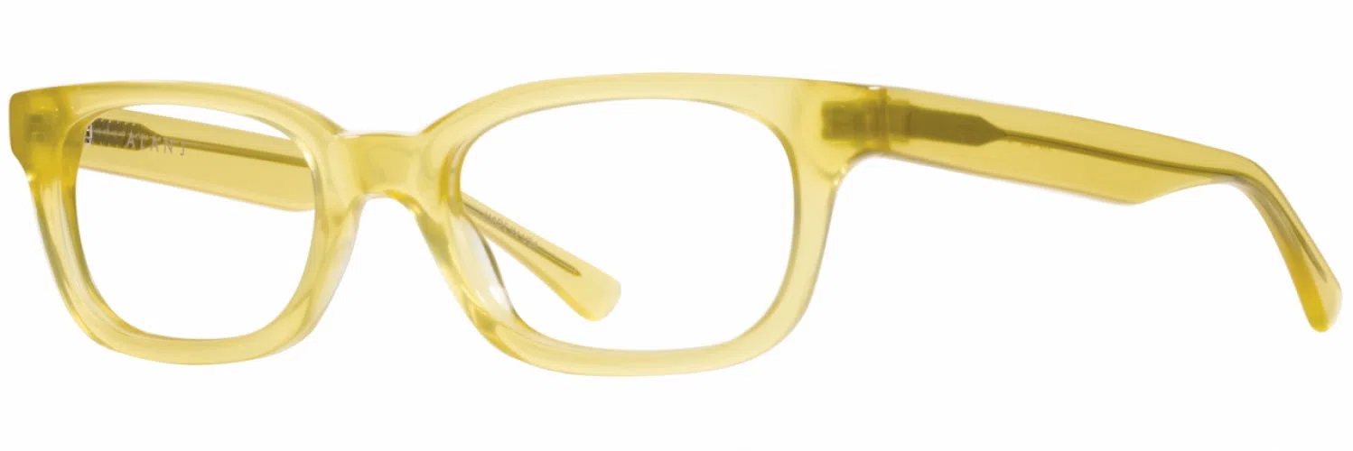 Alan J AJ100 Eyeglasses - view 21